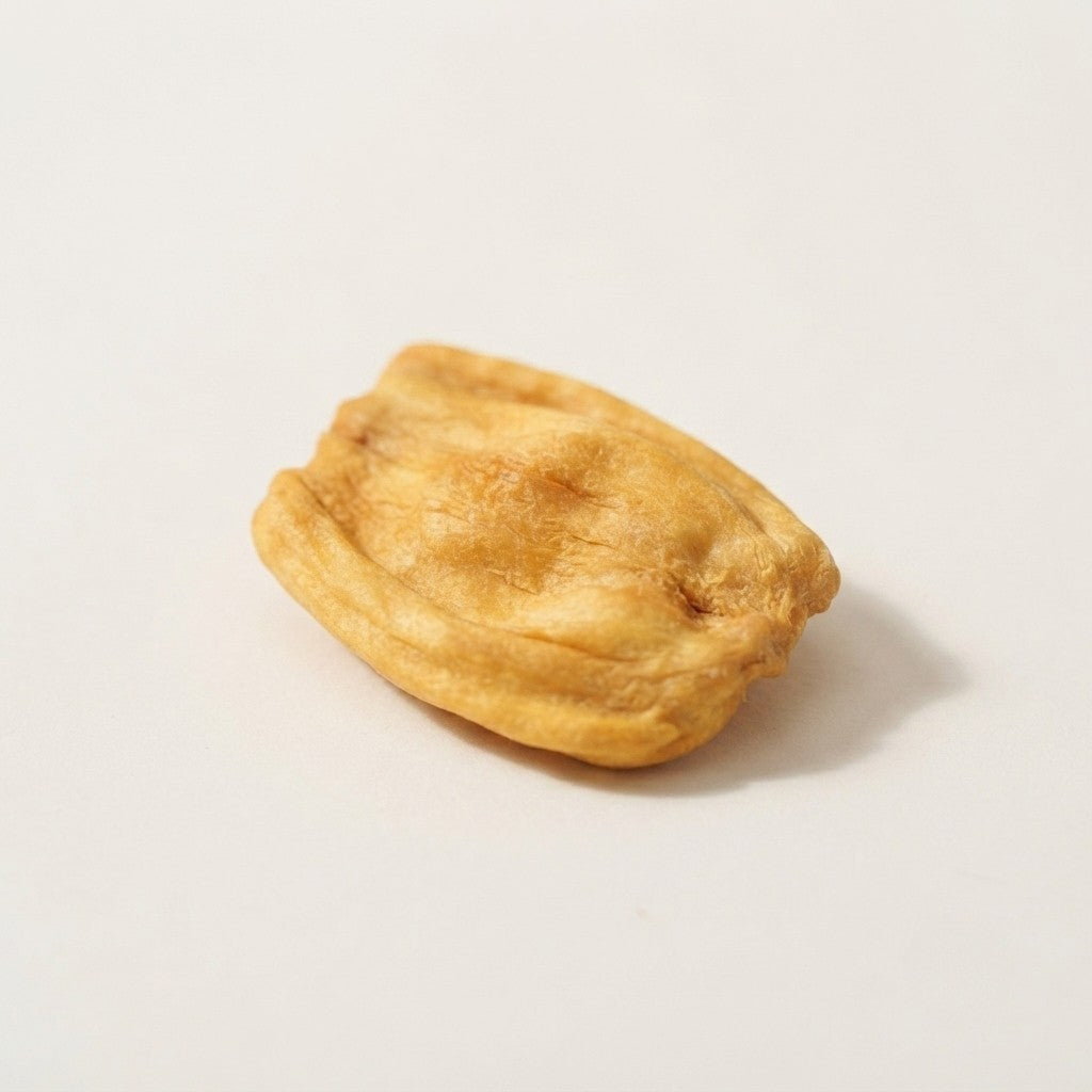 Close-up of a single Sunbaked Jackfruit chip, oven-baked, one ingredient, from Dong Nai, Vietnam